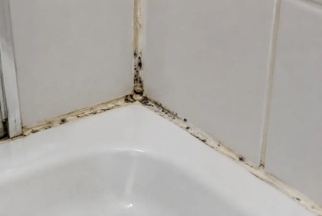 Kitbedrijf Oldenzaal – beschimmelde kitranden